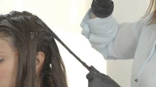 How To Apply Madison Reed Hair Color with a Bowl and Brush [upl. by Natalia]