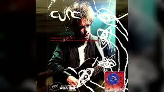 17 lovesong  THE CURE LIVE AT NUEVO LEON MEXICO 1992 [upl. by Dnana981]