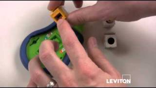 How to Use a Leviton Palm Termination Tool [upl. by Filipe]