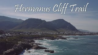 Hermanus Cliff Trail  BEAUTIFUL WHALE TRAIL SOUTH AFRICA [upl. by Hastings]