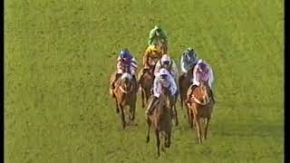 2002 Stan James Challow Novices Hurdle [upl. by Inobe]