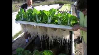 Indoor Aquaponics Systems DoItYourself Training  Aquaponics4u [upl. by Goulette]