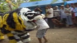 Macan Makan Anak Kecil  Jaranan Buto  Candra Puspitasari [upl. by Aicilef]