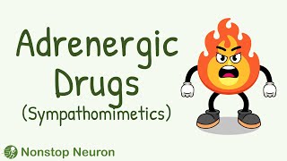 Classification of Adrenergic Drugs  Individual Adrenergic Drugs  Sympathomimetics Pharmacology [upl. by Idnic]