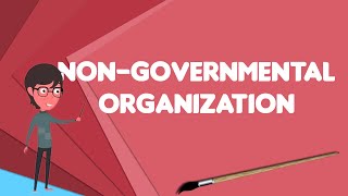 What is Nongovernmental organization Explain Nongovernmental organization [upl. by Annek]