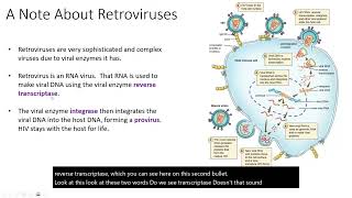 Animal Virus Replication [upl. by Shanna]