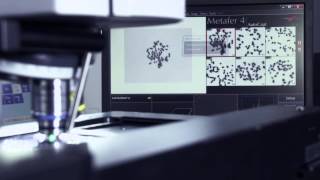 MetaSystems Cytogenetic Imaging Automation [upl. by Ardnekan199]