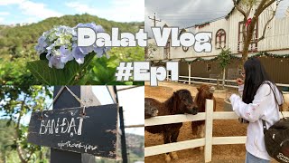 📍Dalat Vlog 3nights 4days at Dalat  Budget only 350 😀 EP01 [upl. by Sikata872]