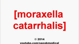 Pronounce Moraxella catarrhalis  SpeakMedical [upl. by Edac]