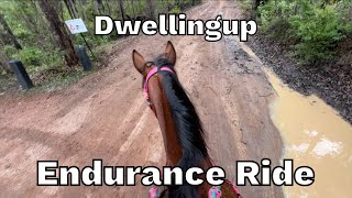 Dwellingup Endurance Ride 2023 [upl. by Faria941]