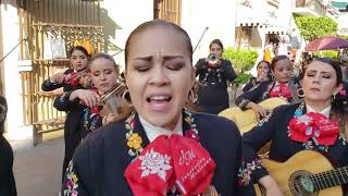 Bohemian Rhapsody  Mariachi Femenil Innovacion Mexicana  2019 [upl. by Nohsreg27]