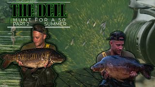 THE DELL  HUNT FOR A 50  PART 2  SUMMER [upl. by Oznofla]