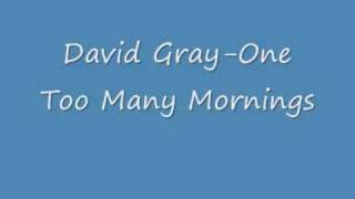 David Gray One Too Many Mornings [upl. by Koenraad]