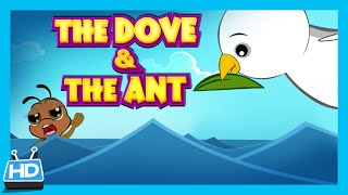 THE DOVE and THE ANT Story  Kids Short Story [upl. by Ardnasirhc]