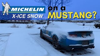 Best Winter tires for a Mustang Michelin XIce Winter Tires Review [upl. by Anifur]