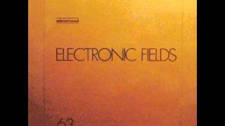 Gerhard Trede  Electronic Fields 02 [upl. by Parrisch]