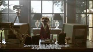 First Compare The Meerkat Advert [upl. by Chipman436]