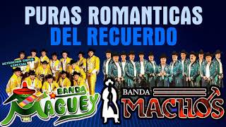 Bandas Mix 2021  BANDA MACHOS VS BANDA MAGUEY  PURAS ROMANTICAS DEL RECUERDO [upl. by Carolan834]