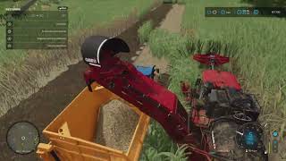 Suikerriet oogsten  Farming SImulator 22 Terschelling 42 [upl. by Aicilihp937]