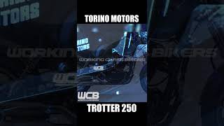 Torino Motors TROTTER 250 🇲🇽 chopper 250cc motos [upl. by Poler]