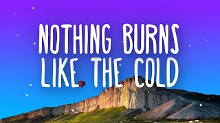 Snoh Aalegra  Nothing Burns Like The Cold Lyrics ft Vince Staples [upl. by Nyvar570]