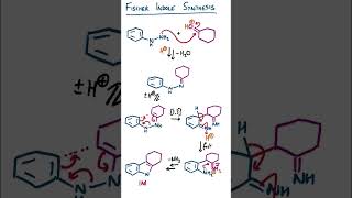 Fischer Indole Synthesis [upl. by Ennairrek]