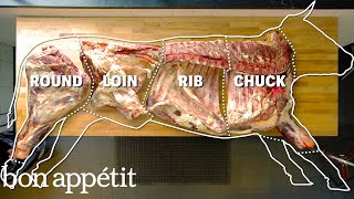 How To Butcher An Entire Cow Every Cut Of Meat Explained  Bon Appetit [upl. by Addie]