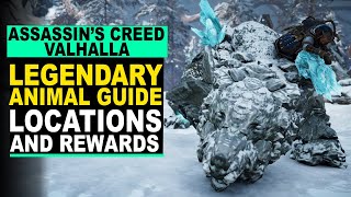 Assassins Creed Valhalla  LEGENDARY ANIMAL Guide  Locations and Rewards [upl. by Reniar107]