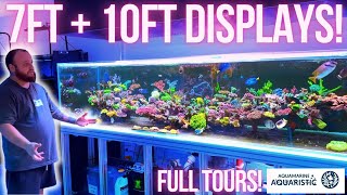 2 Incredibe Display Tanks  SPS and Gonipora Galore [upl. by Byrn]