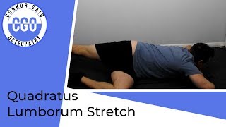 Quadratus Lumborum Stretch  Sidelying [upl. by Tnerual]