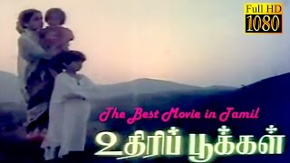 Malayalam New movie Rajadhi Raja  Malayalam Full Movie Review  FtMammoottyRaai Laxmi [upl. by Bac]