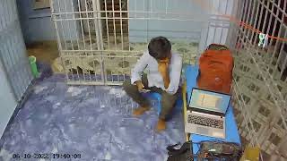 Demo Video 2MP WiFi Camera EZVIZ TY1 [upl. by Reerg]