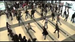 Official versionDabke Dance in BEIRUT INTERNATIONAL AIRPORTflv [upl. by Nakre197]