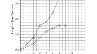 Liv Env Episode 3 Graphing [upl. by Haseefan]