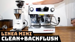 Clean  Backflush LINEA MINI by La Marzocco [upl. by Gnort]