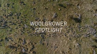 The Woolmark Company presents WOOLGROWER SPOTLIGHT An Environmental Series [upl. by Proulx]