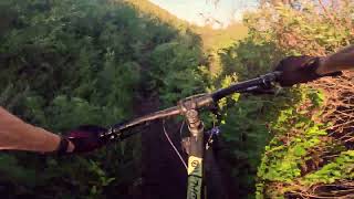 Weed Whacking Down Single Track  MTB [upl. by Ahsiemat]