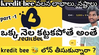 kredit Bee loan apps perfect review in telugu  kredit bee app loan full details explained in telugu [upl. by Dorcas896]