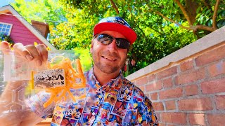 I Tried SQUID Snacks at Epcots Japan Pavilion amp Unique Snacks From Around The World Showcase 2024 [upl. by Benedicta]