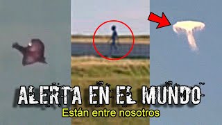 ALERTA MÁXIMA por CRIATURAS EXTRATERRESTRES en TODO el MUNDO [upl. by Nemzaj]