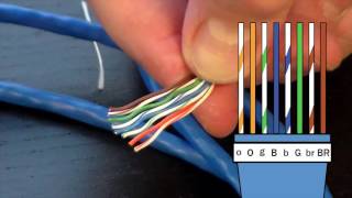 How to Make an Ethernet Cable  FD500R  24 Crimp Tool Demonstration [upl. by Obe]