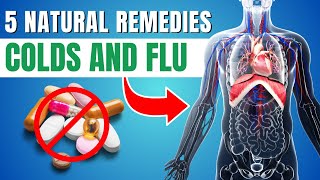 5 Natural Remedies for Common Ailments Herbal Medicine and Homeopathy [upl. by Viviane]