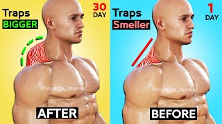 6 BEST EXERCISE TRAPS WORKOUT 🔥 [upl. by Pawsner]