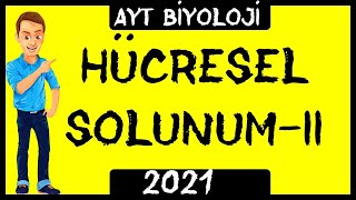 12 HÃœCRESEL SOLUNUM  II FERMANTASYON VE OKSÄ°JENSÄ°Z SOLUNUM 12 SINIF [upl. by Vale]