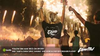 Garmiani  Jump amp Sweat feat Sanjin Audio I Dim Mak Records [upl. by Harbour]