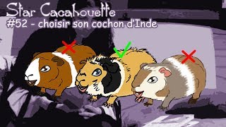 StarCacahouette 52 choisir son cochon dInde [upl. by Ydne]