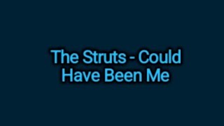 The Struts  Could Have Been Me Lyrics [upl. by Oinimreh294]