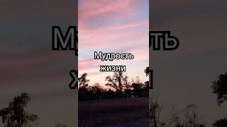 Мудрость жизни [upl. by Valda]