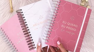 MEU PLANNER 2022 EM DETALHES  PLANNER VOCÊ PRODUTIVA [upl. by Martel]