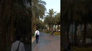 deira dubai live [upl. by Chivers]